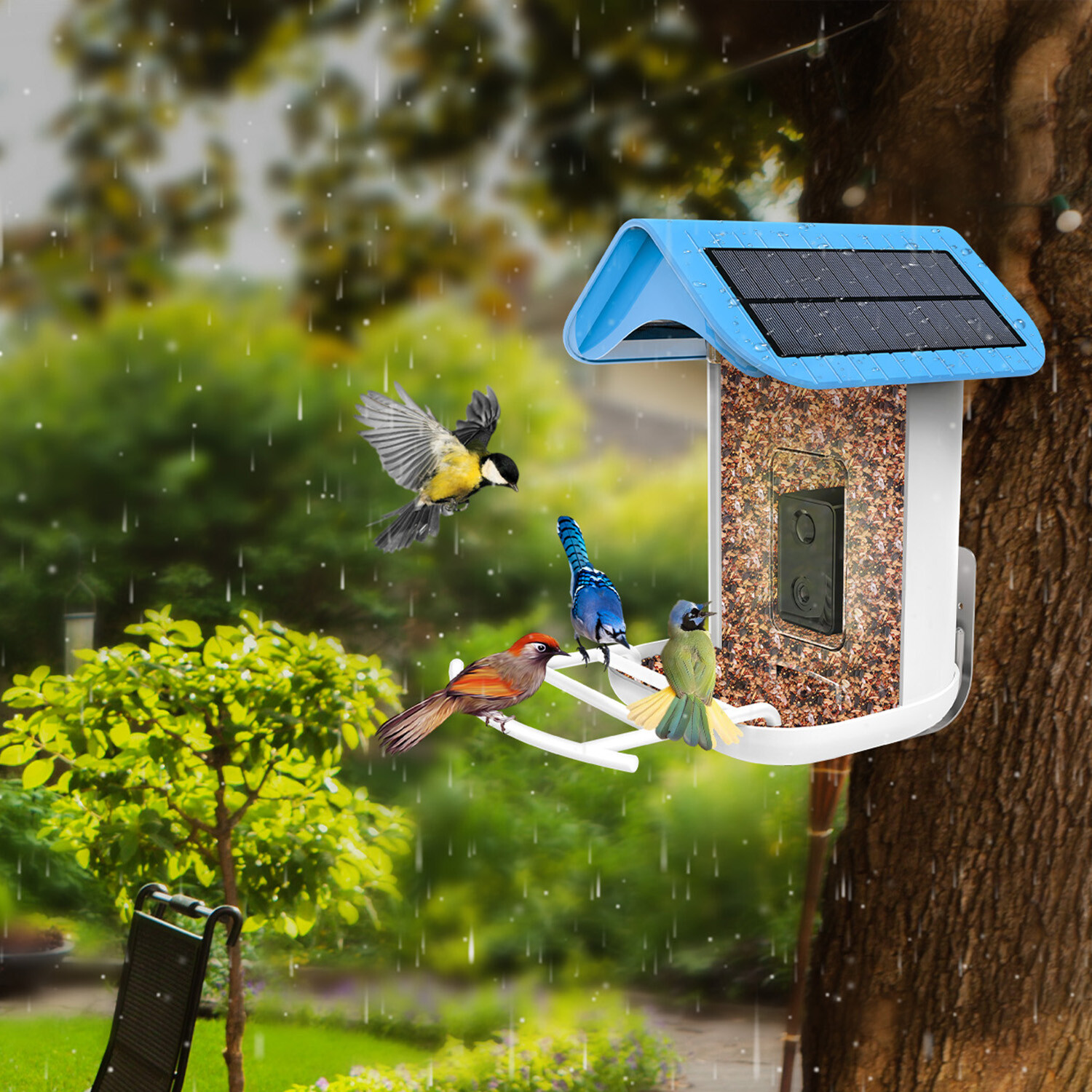 BirdBuddy Smart Birdfeeder - BirdBuddy Smart Bird Feeder - Touch of Modern