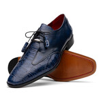 Anzio // Alligator + Calfskin Leather Oxfords Shoes // Blue Jeans (US: 9)