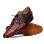 Anzio // Alligator + Calfskin Leather Oxfords Shoes // Cognac (US: 12)