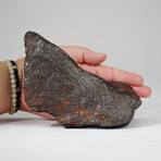 Genuine Canyon Diablo Meteorite