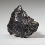 Genuine Natural Sikhote-Alin Meteorite from Russia in Display Box