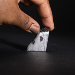 Genuine Natural Muonionalusta Meteorite Slice with Acrylic Stand v.1