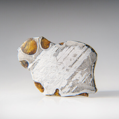 Genuine Natural Seymchan Pallasite Meteorite Slab in Display Box v.1