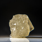 Genuine Natural Libyan Desert Glass v.3