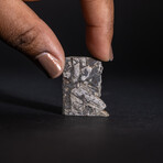Genuine Natural Muonionalusta Meteorite Slice with Acrylic Stand v.2