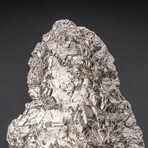 Genuine Natural Muonionalusta Meteorite Slice with Acrylic Stand v.4