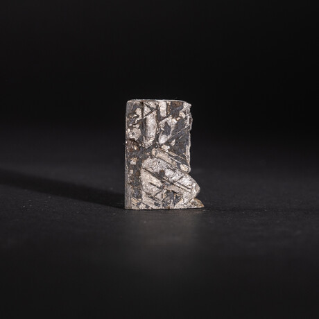Genuine Natural Muonionalusta Meteorite Slice with Acrylic Stand v.2