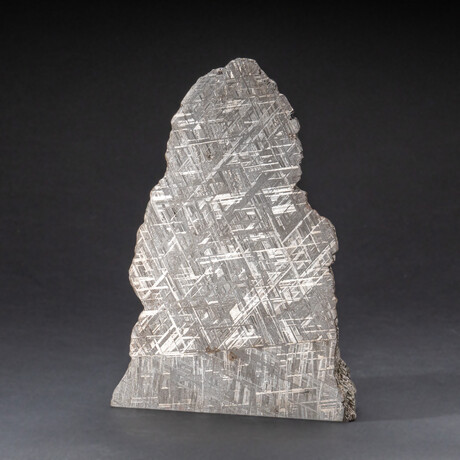 Genuine Natural Muonionalusta Meteorite Slice with Acrylic Stand v.4
