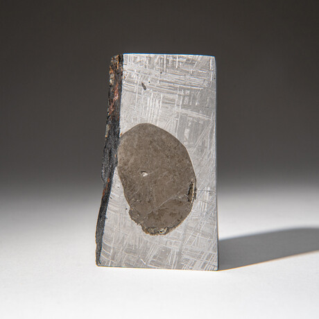Genuine Natural Muonionalusta Meteorite Slice with Acrylic Stand v.3