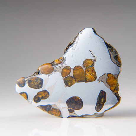 Genuine Natural Seymchan Pallasite Meteorite Slab in Display Box v.4