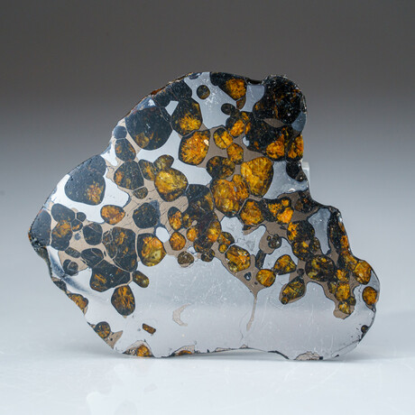 Genuine Natural Seymchan Pallasite Meteorite Slab in Display Box v.6