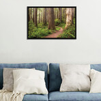 Redwood Trail by Stefan Hefele (18"H x 26"W x 1.5"D)