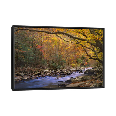 Little River Flowing Through Autumn Forest, Great Smoky Mountains National Park, Tennessee by Tim Fitzharris (18"H x 26"W x 1.5"D)