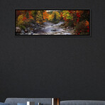 Stream with trees in a forest in autumn, Nova Scotia, Canada by Panoramic Images (12"H x 36"W x 1.5"D)