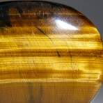 Genuine Polished Tiger's Eye Palm Stone with Velvet Pouch