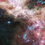 James Webb Space Telescope -Tarantula Nebula (20"L x 16"W)