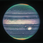 James Webb Space Telescope - Jupiter (7.2"L x 9.2"W)