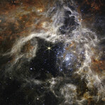 James Webb Space Telescope -Tarantula Nebula 2 (7.2"L x 9.2"W)