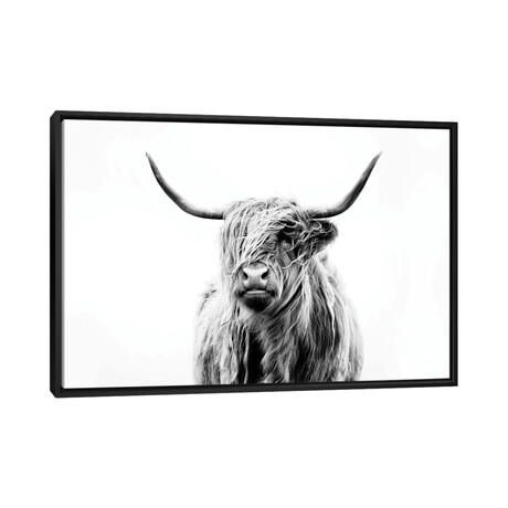 Portrait Of A Highland Cow by Dorit Fuhg (18"H x 26"W x 1.5"D)