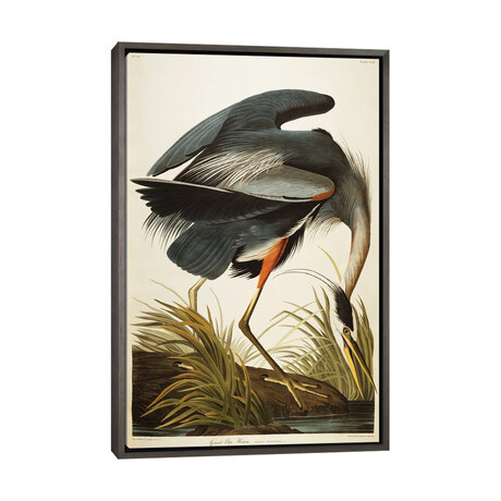 Great Blue Heron  by John James Audubon (26"H x 18"W x 1.5"D)