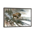 Bison by Dave Bartholet (18"H x 26"W x 1.5"D)