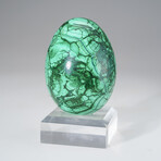 Genuine Polished Malachite Egg with Acrylic Stand // 1.7 lbs