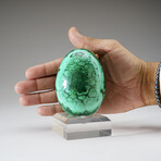 Genuine Polished Malachite Egg with Acrylic Stand // 1.7 lbs