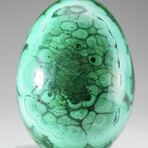 Genuine Polished Malachite Egg with Acrylic Stand // 1.7 lbs