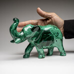 Genuine Polished Malachite Elephant Carving // 3.9 lbs
