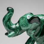Genuine Polished Malachite Elephant Carving // 3.9 lbs