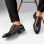 Oxfords // Brown (Euro: 43)