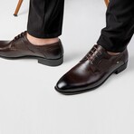 Classic Oxford // Brown (Euro: 43)