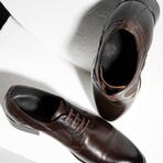 Classic Oxford // Brown (Euro: 45)