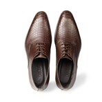 Croco Leather Oxfords // Brown (Euro: 43)