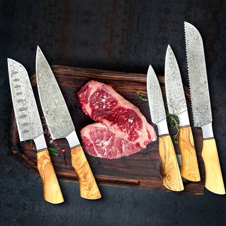 Olivia Chef knives // Set of 5 // 2014