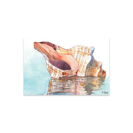 Seashell by Yue Zeng (24"H x 16"W x 0.25"D)