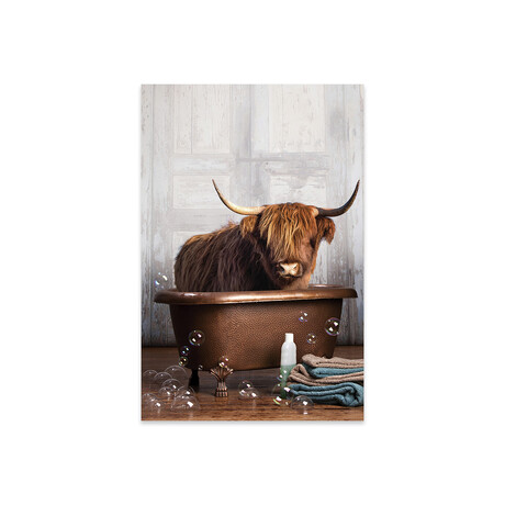Highland Cow In The Tub by Domonique Brown (16"H x 24"W x 0.25"D)