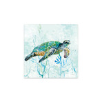 Sea Turtle Swim I by Carol Robinson