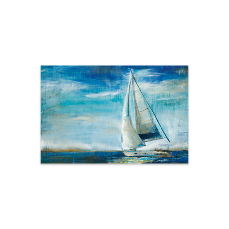 Sail Away by Liz Jardine (24"H x 16"W x 0.25"D)
