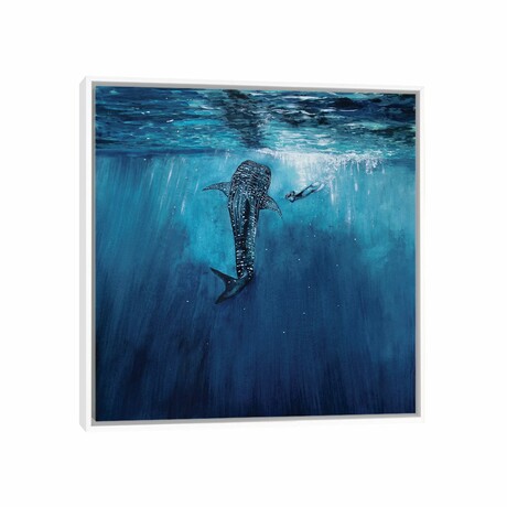 Whaleshark And Diver by Karli Perold (12"H x 12"W x 1.5"D)