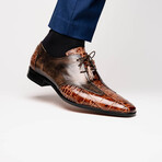 Anzio // Alligator + Calfskin Leather Oxfords Shoes // Orix (US: 11.5)