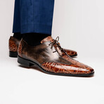 Anzio // Alligator + Calfskin Leather Oxfords Shoes // Orix (US: 10)