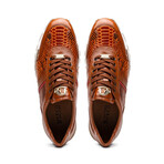 Brescia // Python + Calfskin Leather Sneakers // Honey (US: 10.5)