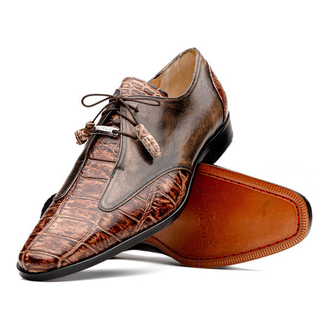 Anzio // Alligator + Calfskin Leather Oxfords Shoes // Orix (US: 8)