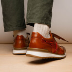 Brescia // Python + Calfskin Leather Sneakers // Honey (US: 11)