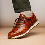 Brescia // Python + Calfskin Leather Sneakers // Honey (US: 10.5)