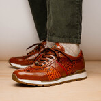 Brescia // Python + Calfskin Leather Sneakers // Honey (US: 8)