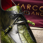 Anzio // Alligator + Calfskin Leather Oxfords Shoes // Green (US: 8)