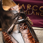 Anzio // Alligator + Calfskin Leather Oxfords Shoes // Orix (US: 8.5)