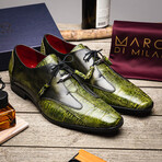 Anzio // Alligator + Calfskin Leather Oxfords Shoes // Green (US: 12)